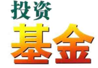 519018基金,深度解析其投资策略与市场表现