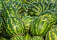 娱乐吃瓜酱广西,揭秘广西娱乐圈的那些事儿