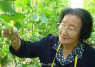娱乐圈吃瓜呆头鹅是谁,揭秘其真实身份与幕后故事