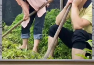 娱乐八卦 吃瓜群众,吃瓜群众揭秘明星幕后故事