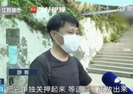 吃瓜被打的网红是谁,一场网络争议的漩涡