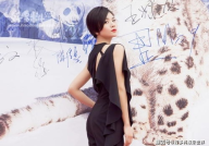 刘涛主演的电视剧有哪些,刘涛影视生涯精彩剧作集锦